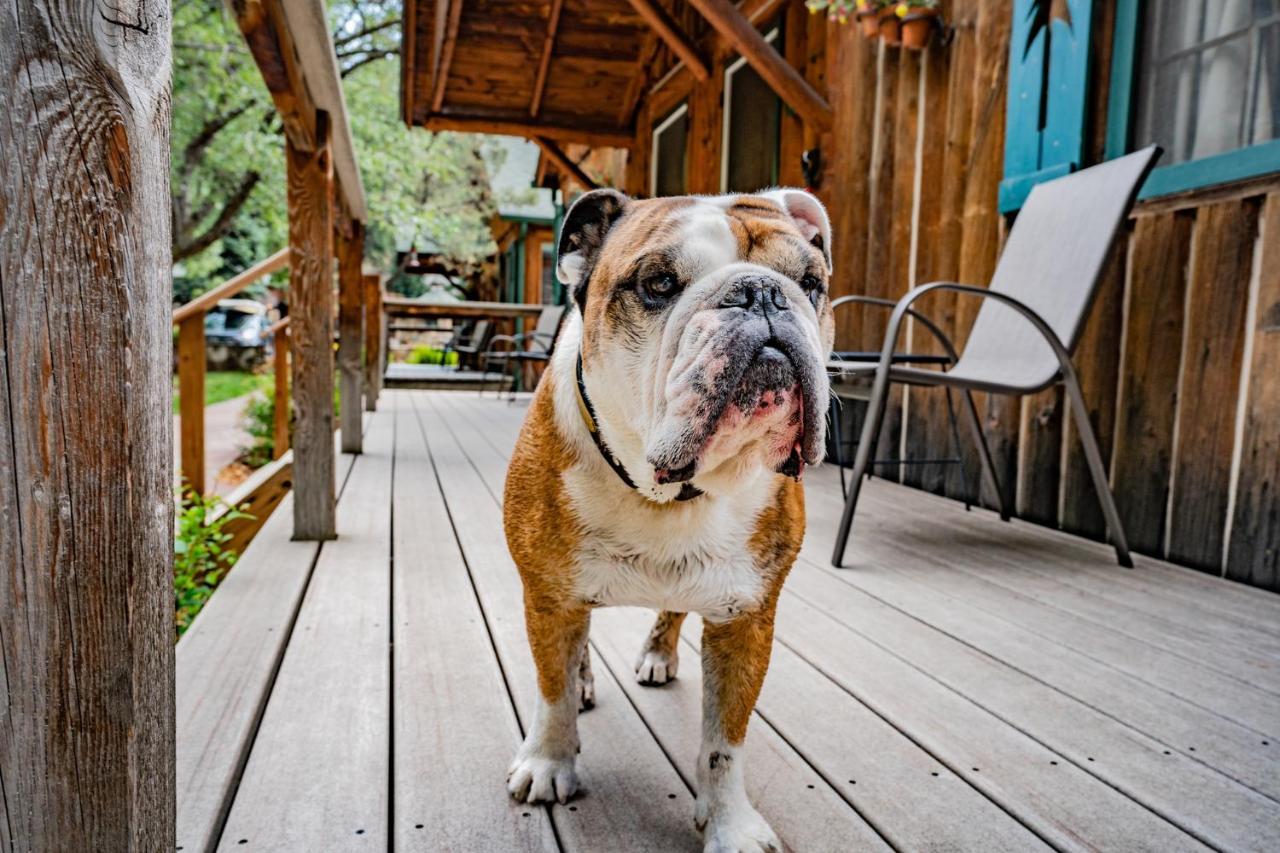 Colorado Bear Creek Cabins Эвергрин Экстерьер фото