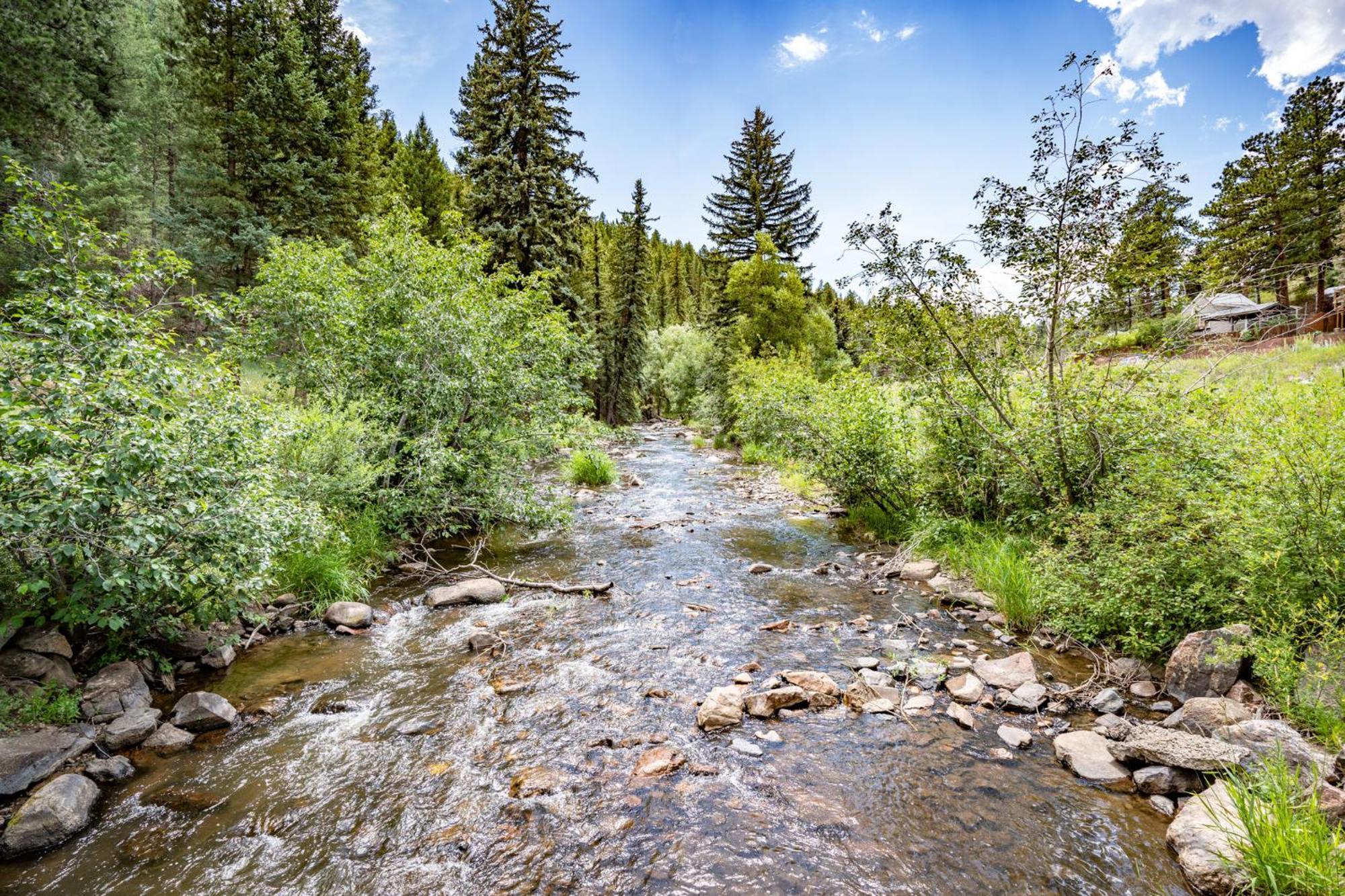 Colorado Bear Creek Cabins Эвергрин Номер фото